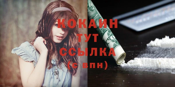 индика Аркадак
