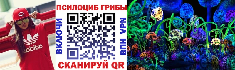 Галлюциногенные грибы Psilocybe  Красный Холм 